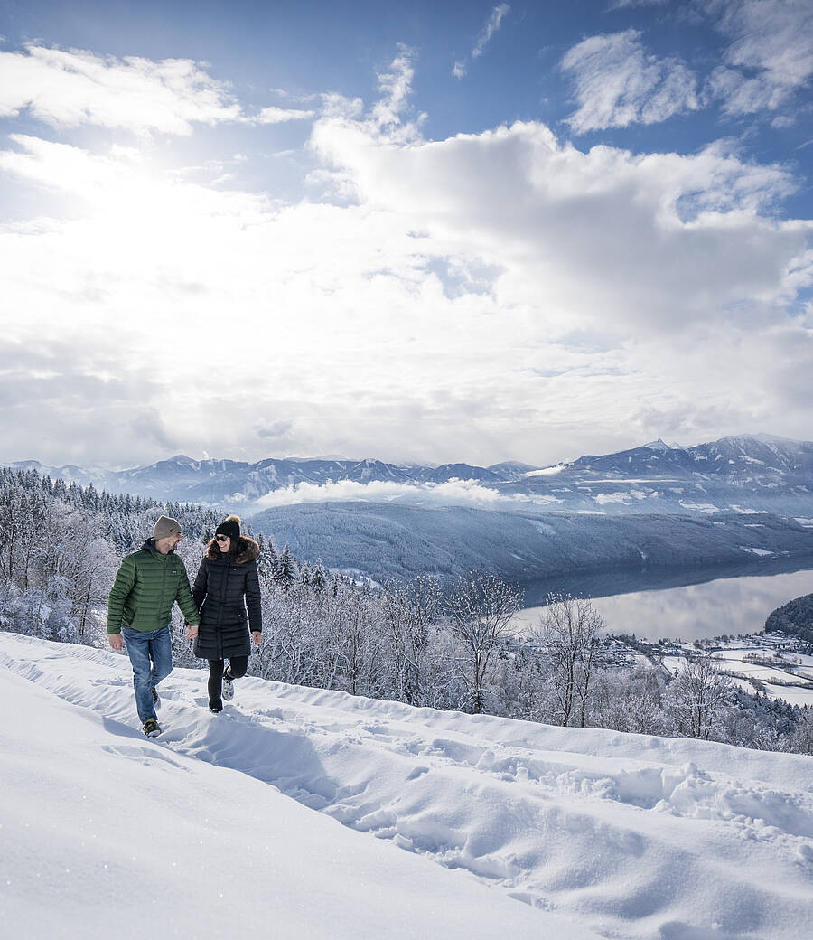 Winter am Millstaettersee