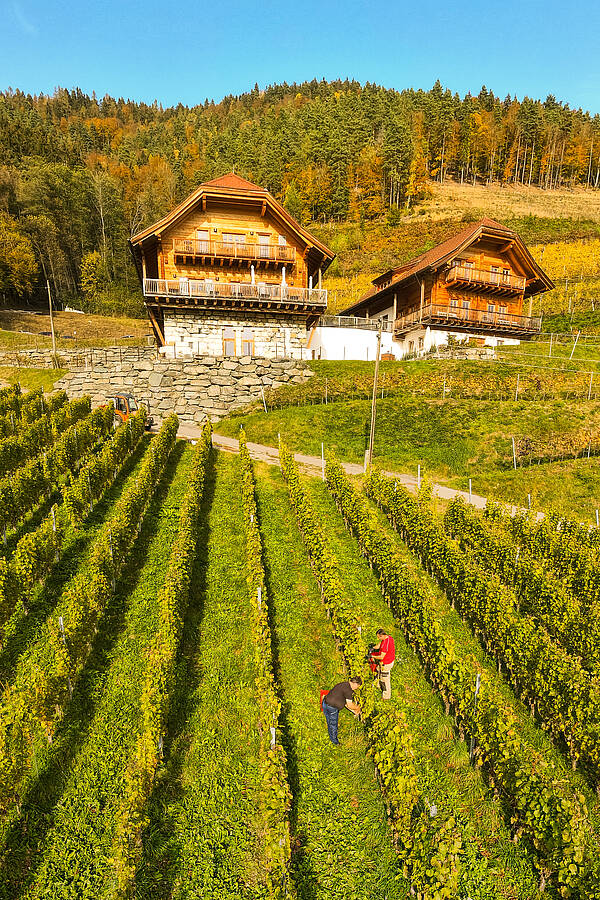 Weingut Karnburg