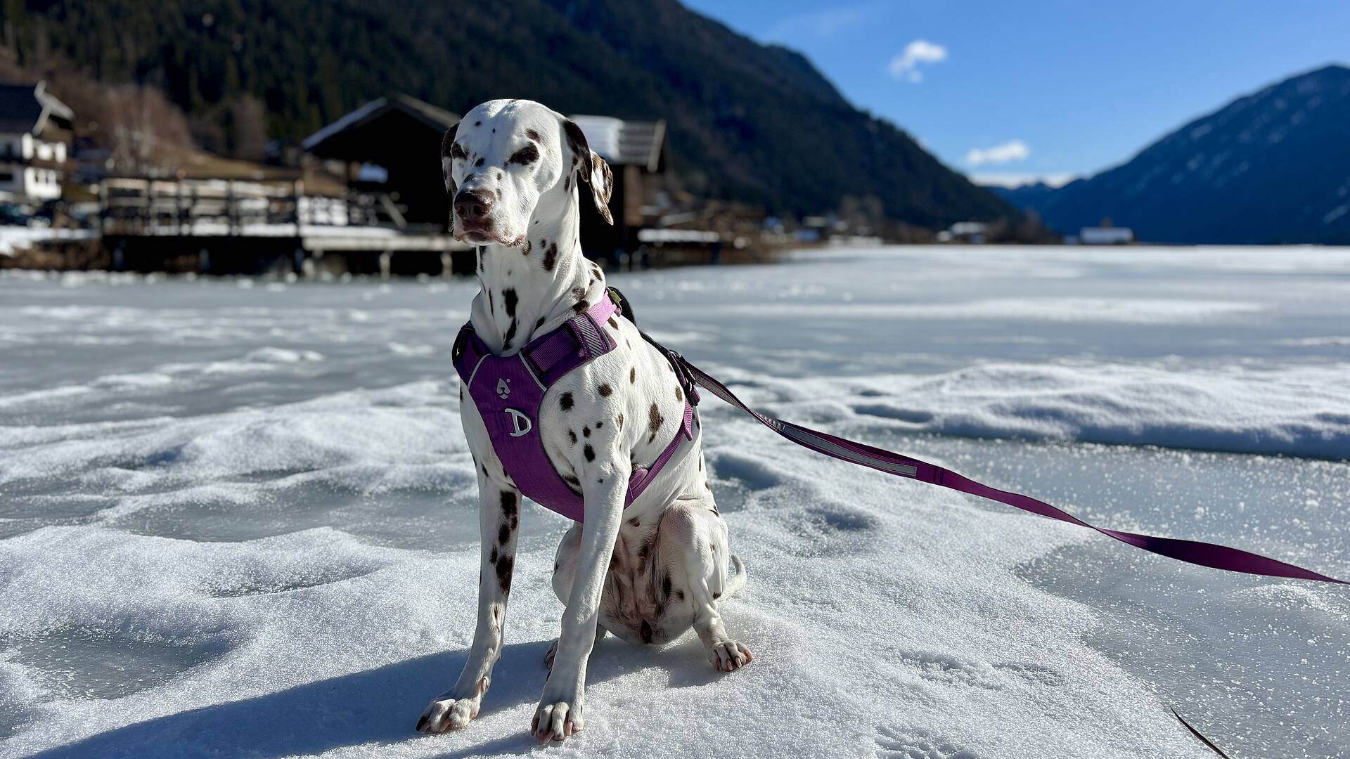 Weissensee wandern mit Hund