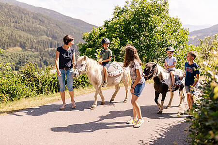 Islandpferdehof Rapoldi