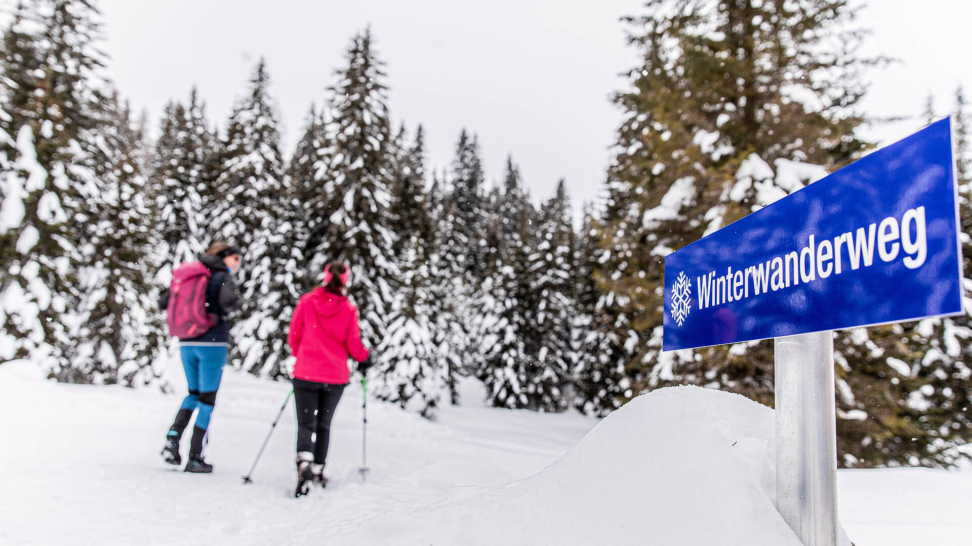 Flattnitz Winter Wanderweg Winterwandern Mittelkärnten