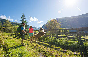 Urlaub mit Hund im NationalparkHoheTauern