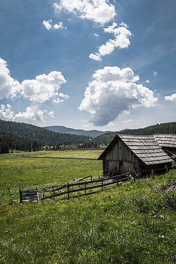 Ein Bergsommer wie damals Hochmoor