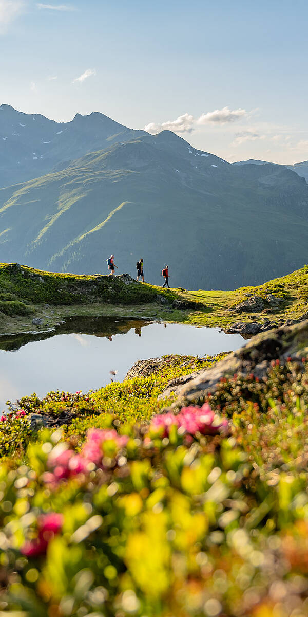 Bergfruehling im Drautal