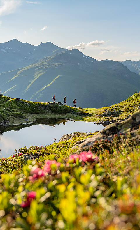 Bergfruehling im Drautal