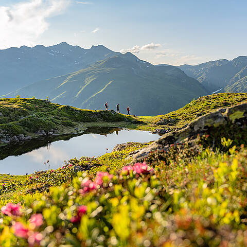 Bergfruehling im Drautal