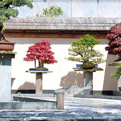 Bonsaimuseum Millstaettersee