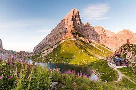 Almshuttle und RufbusseNassfeld-Pressegersee, Lesachtal 