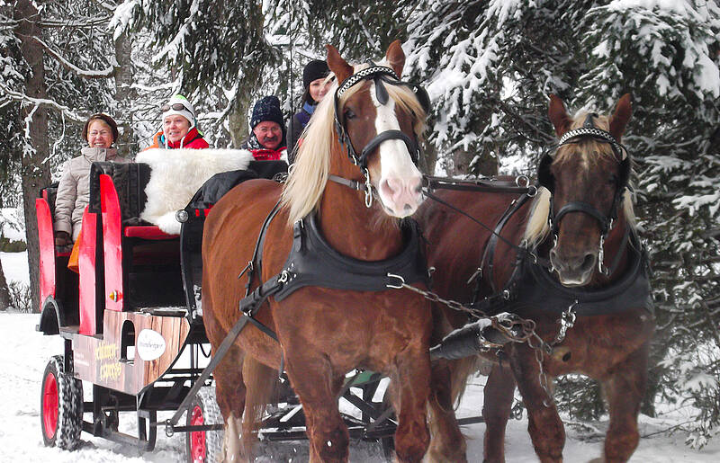 Kutschfahrt in Bad Kleinkirchheim 