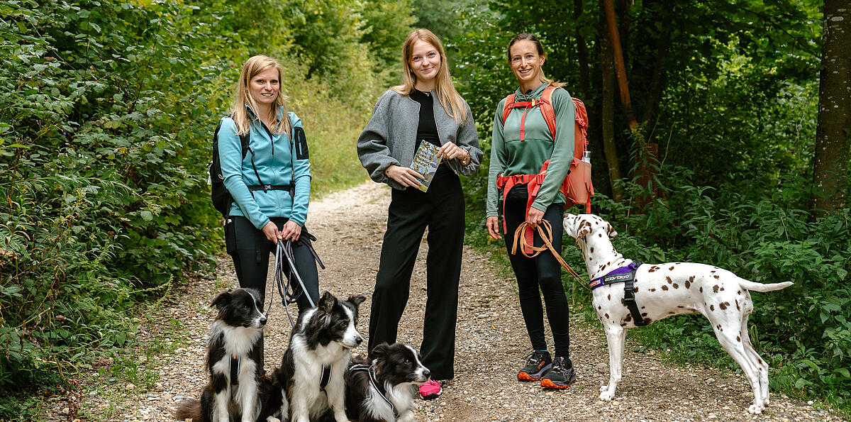 Drei Frauen wandern mit vier Hunden auf einem Waldweg in Kärnten.