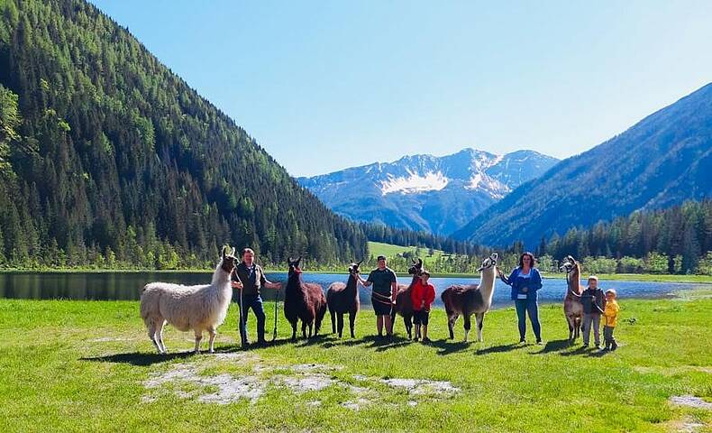 Mallnitz Tauern Lama