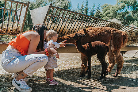 TOP-Ausflugsziele für deine Familie