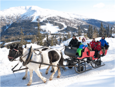 Skischul-Pferdekutschen-Service
