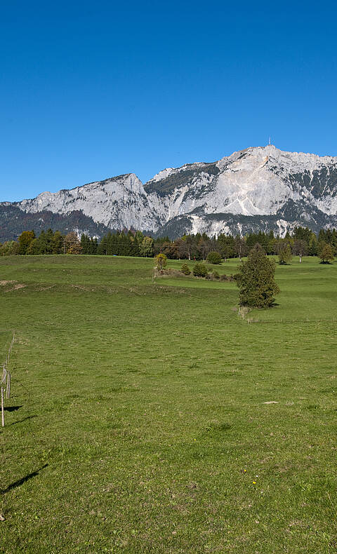Blick auf die Wiese mit Pferd im Hintergrund Dobratsch von Agoritschach