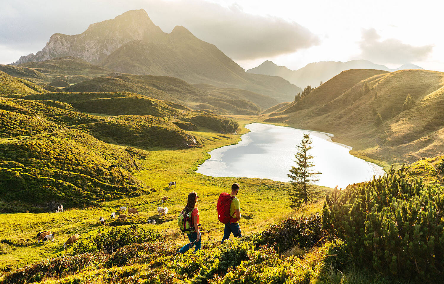 Karnischer Höhenweg Zollnersee