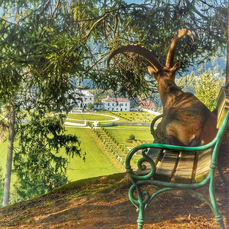 Region Wörthersee-Rosental _ Tierpark Rosegg