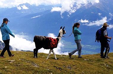 Social_Lama_Trekking_c_Johannes_Moser