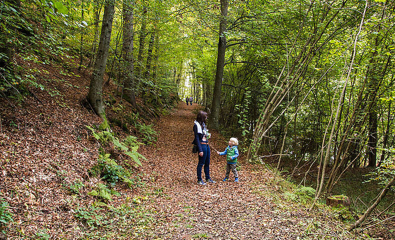 Wandern im Wald