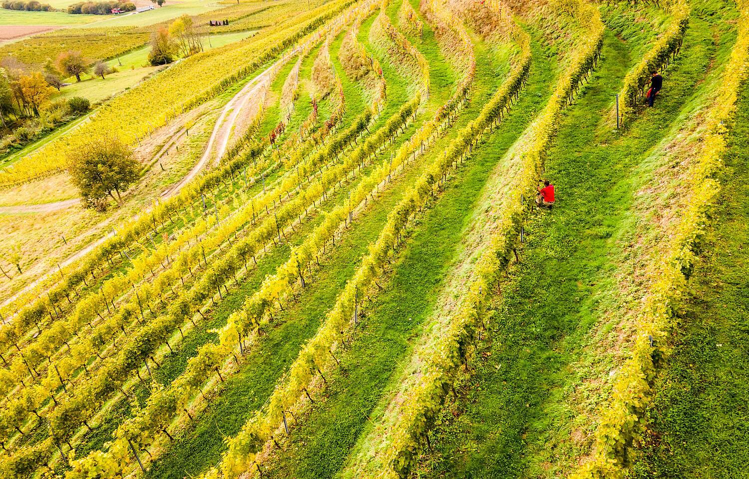 Weingut Karnburg