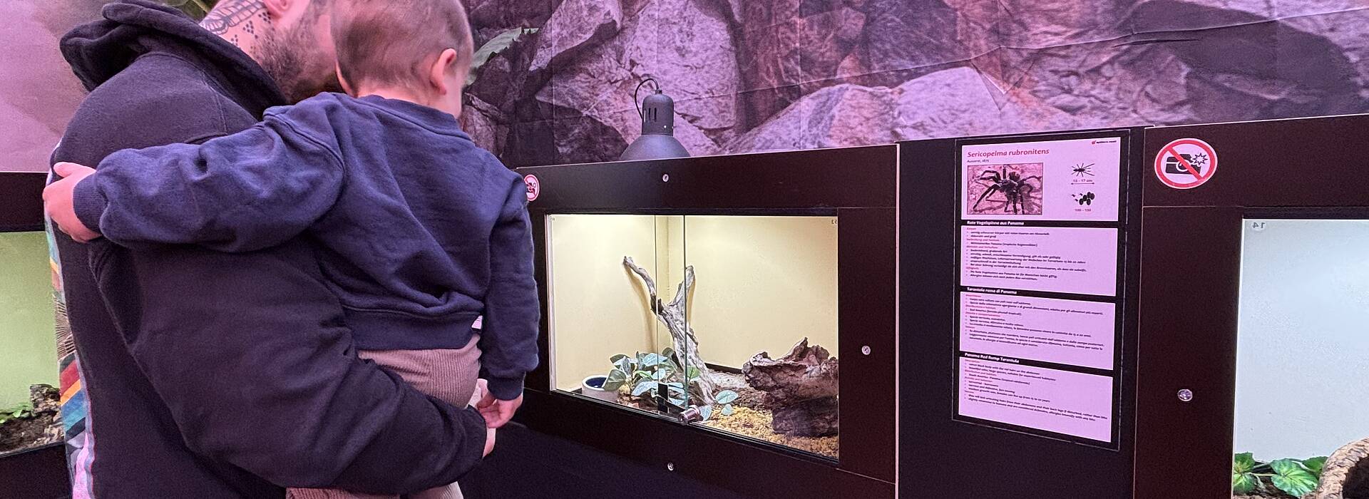 Spinnenausstellung in Villach carinthieanblood.at