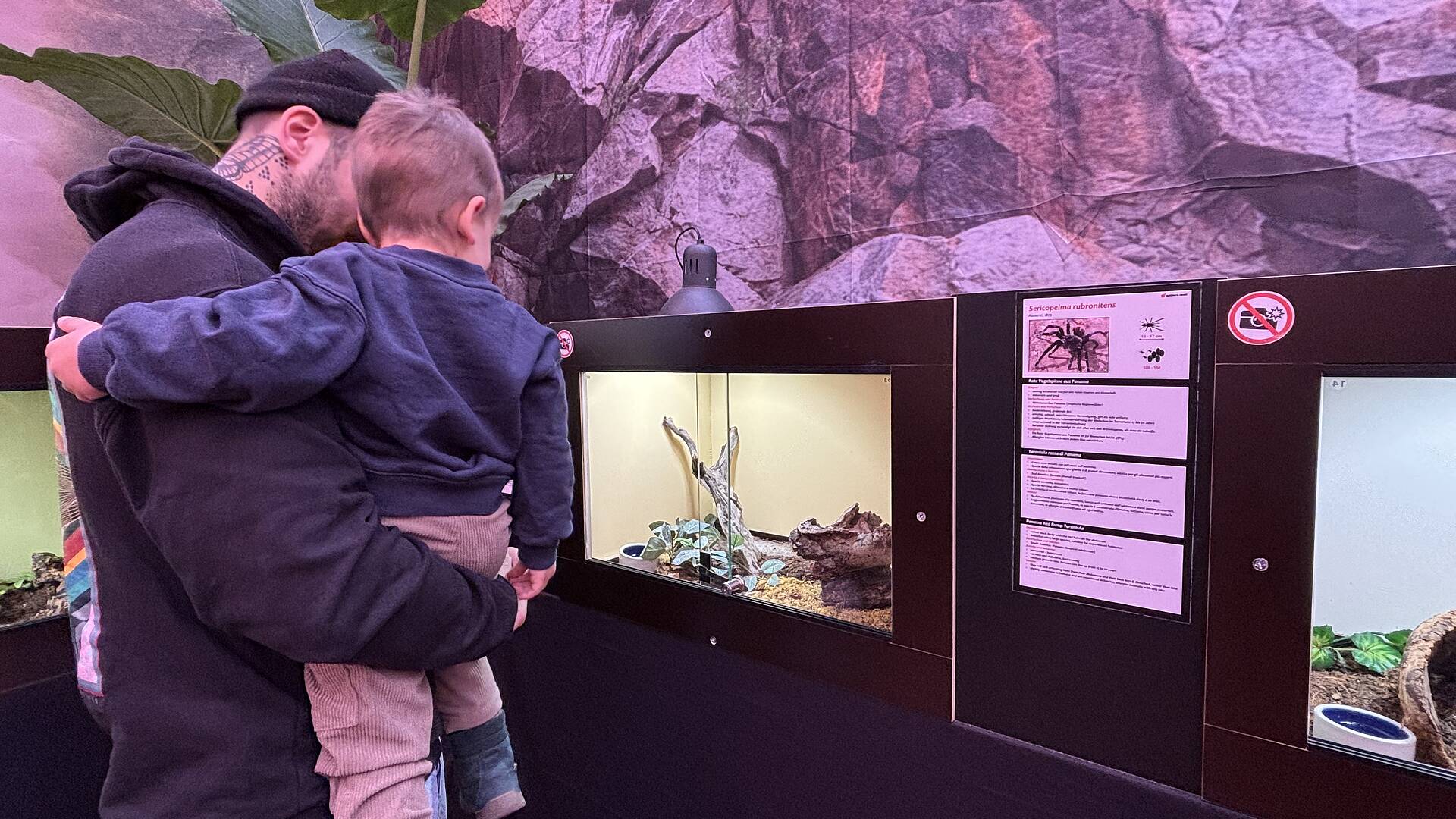 Spinnenausstellung in Villach carinthieanblood.at