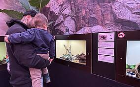 Spinnenausstellung in Villach carinthieanblood.at