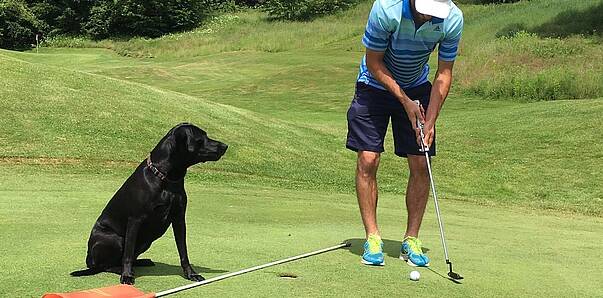 Golfen mit Hund