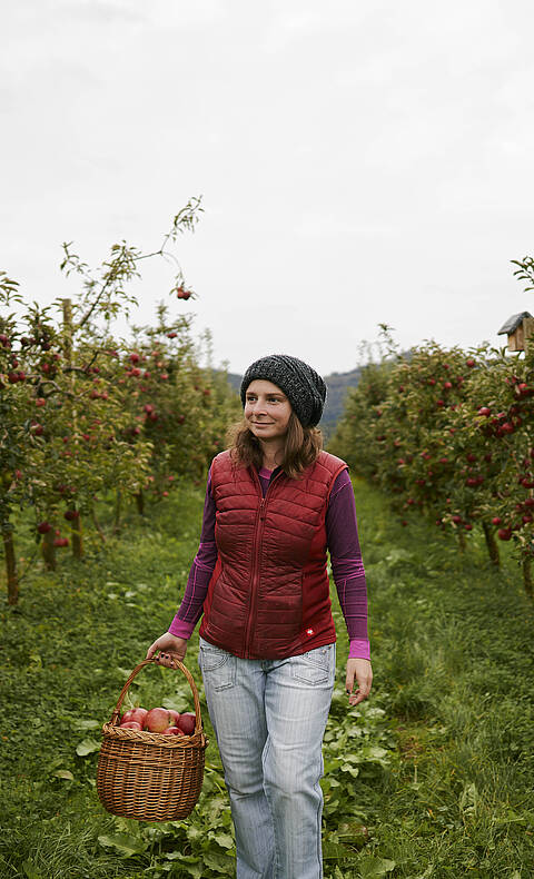 Apfel Produzenten Lavanttal