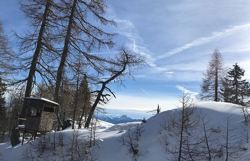 Dobratsch Skitour von Heiligengeist