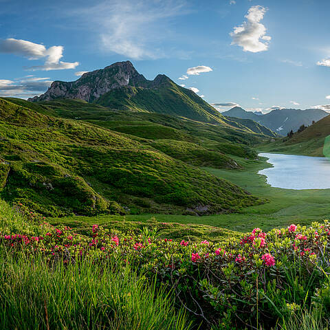 Blick auf den Zollnersee