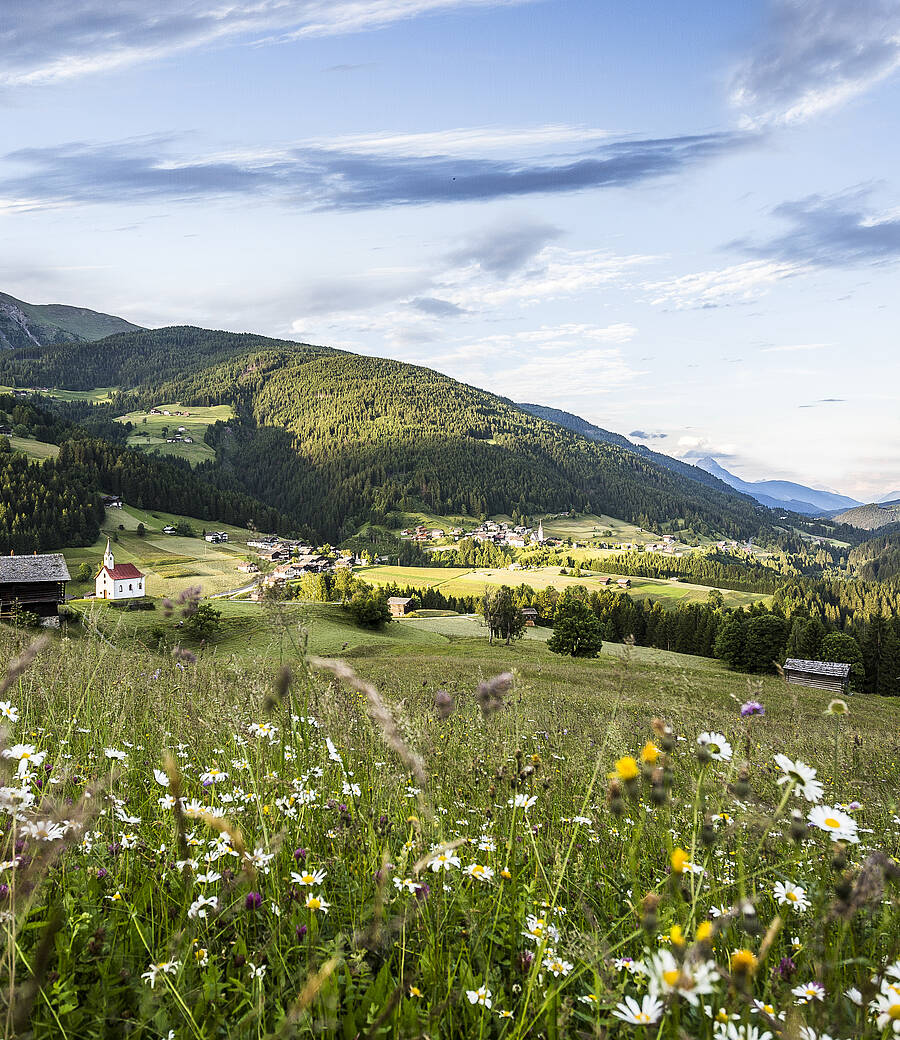 low Food Travel im Lesachtal steht für besondere Genussmomente inmitten der naturbelassenen Kärntner Bergwelt. Traditionelles Handwerk, regionale Zutaten, kleine Produzent:innen und ursprüngliche Kulinarik schaffen ein authentisches Geschmackserlebnis, das tief mit der Landschaft und ihrer Kultur verbunden ist.