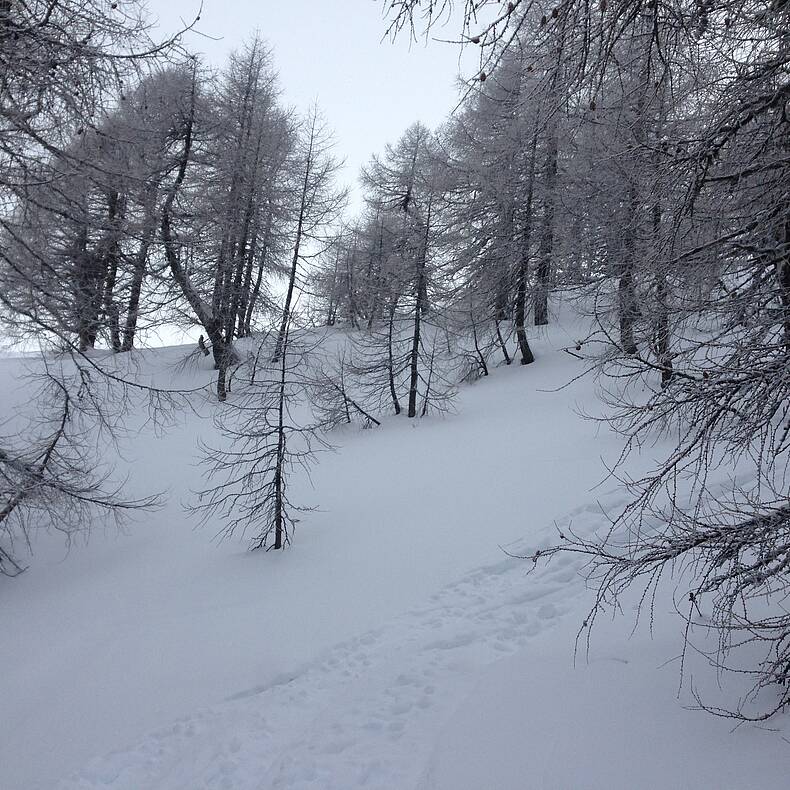 Dobratsch Skitour von Heiligengeist