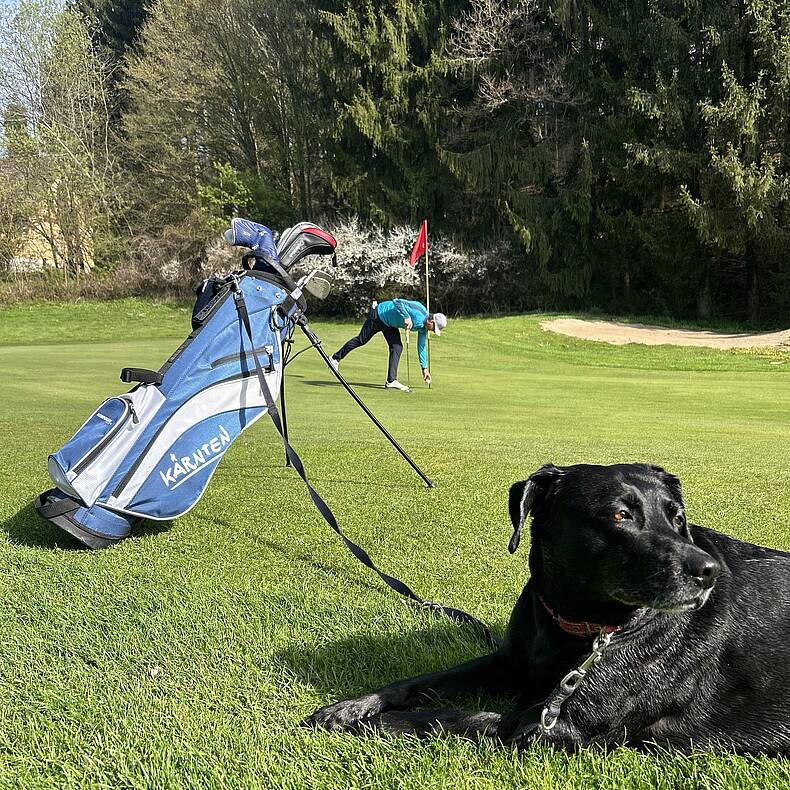 Golfspieler auf der Wiese mit Hund
