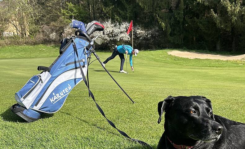 Golfspieler auf der Wiese mit Hund
