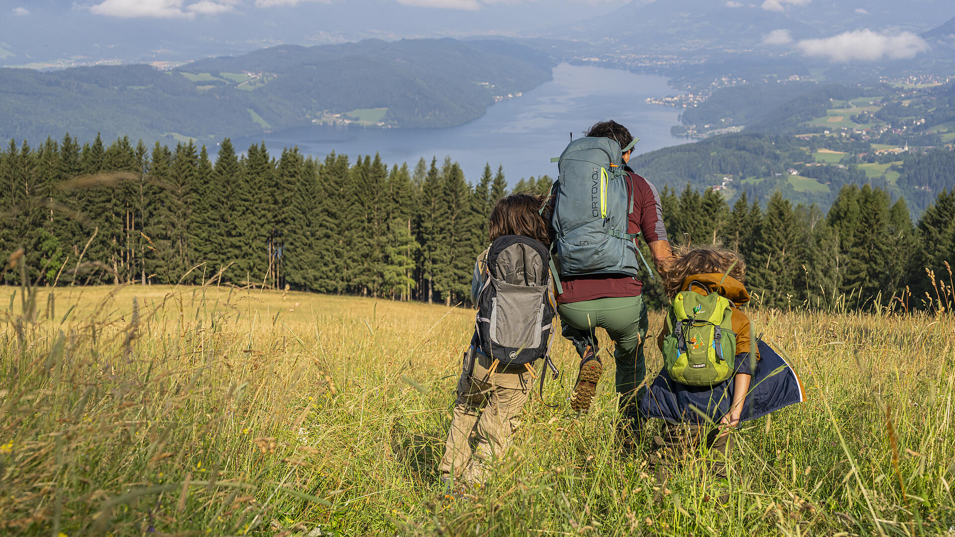 Wandern mit Ausblick – Familienzeit am Millstätter See Ein Vater wandert mit zwei Kindern durch hohes Gras in Richtung Millstätter See, der in der Ferne zu sehen ist.