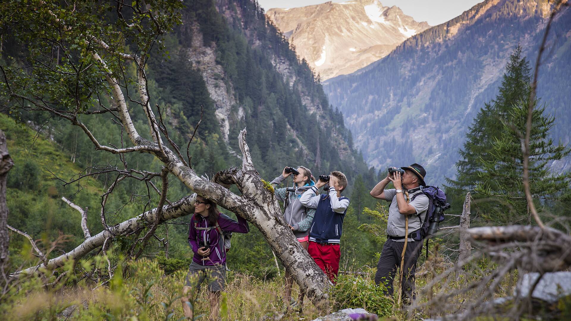 Wildnistour im Nationalpark Hohe Tauern