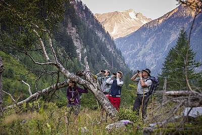 Wildnistour im Nationalpark Hohe Tauern