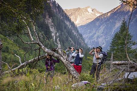 Wildnistour:Dem Rotwild auf der Spur