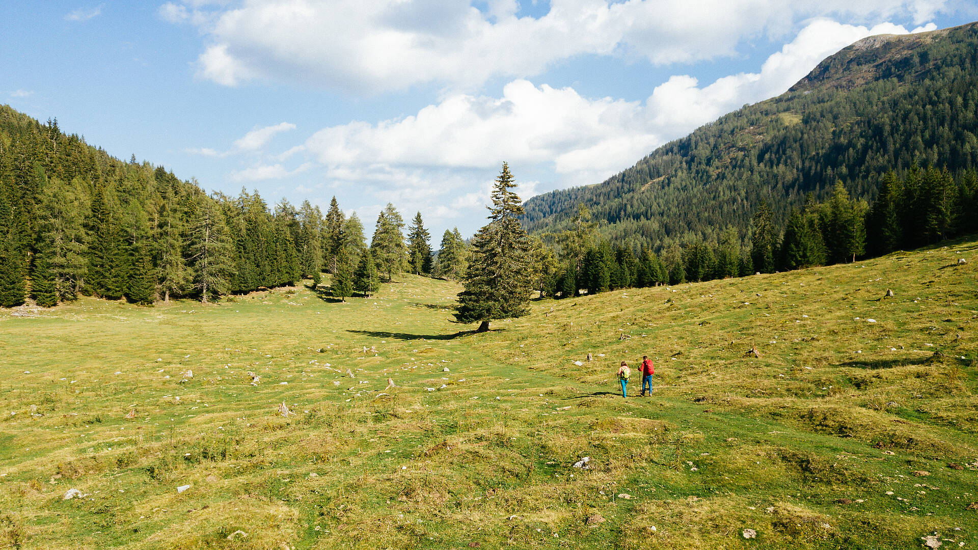 Karnischer Hoehenweg Egger Alm 