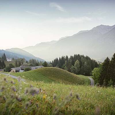 Blumenwiese in der Region Irschen
