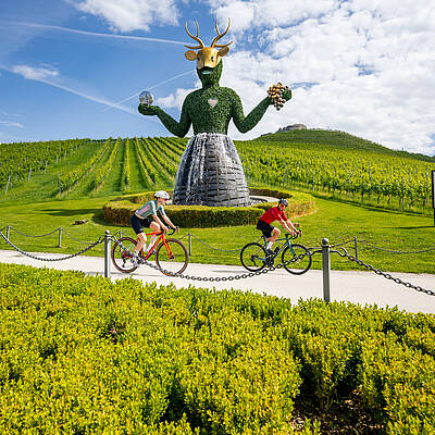 ROSA200 Gravel-Event Burg Taggenbrunn