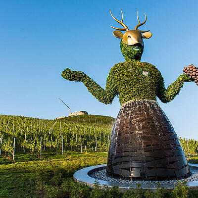 Weingut Taggenbrunn