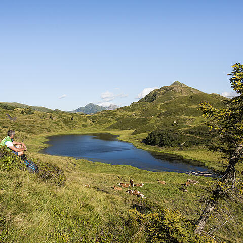 Panoramawandern am Nassfeld
