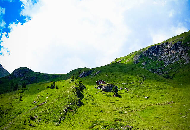 Drunter und Drüber - eine Themenwanderung Arnika auf der Wiese Drunter und Drüber - eine Themenwanderung Arnika auf der Wiese