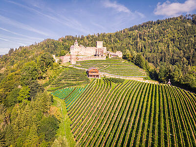 Sturm- & Weinfest auf Burg Glanegg