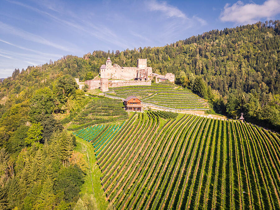 Burg Glanegg mit Weingarten