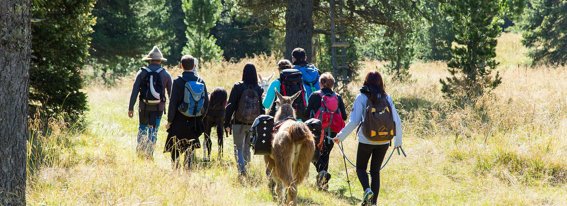 Pilgern in Kärnten mit der Pilgergruppe und Alpakas