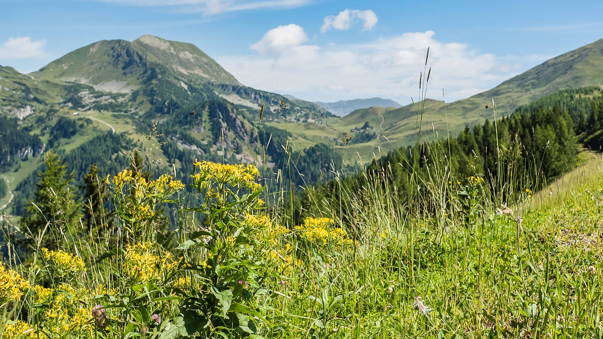 Mountain Yoga Trail Panorama