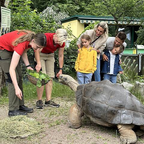 Tierpflegerinnen füttern eine große Schildkröte, eine Familie mit Kindern beobachtet die Szene im Reptilienzoo Happ in Klagenfurt.