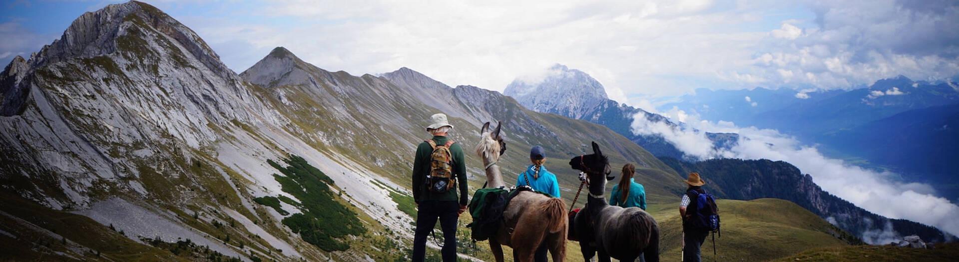 Lama-Trekking im Gailtal 